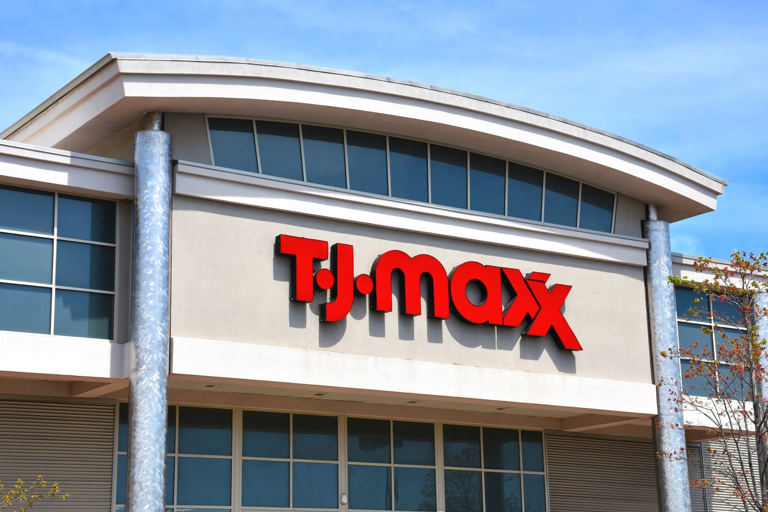 T.J. Maxx s Vintage Dinner Plates Are Bound to Sell Out Quick The Kitchn