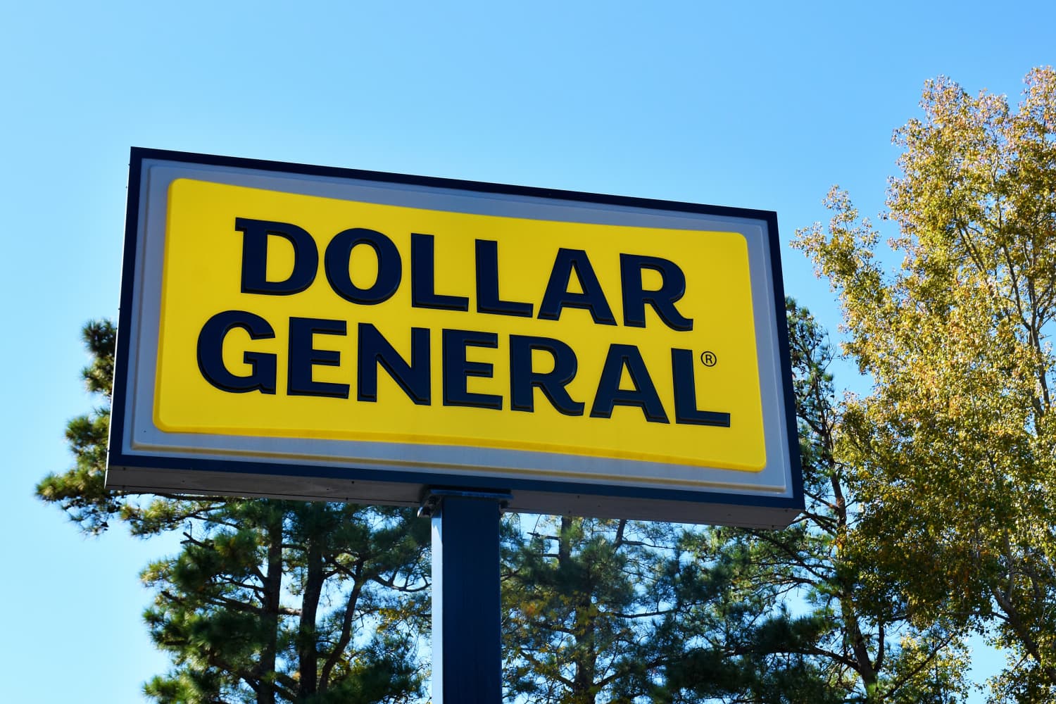 Is Dollar General Open on Easter 2024? Find Out Apartment Therapy