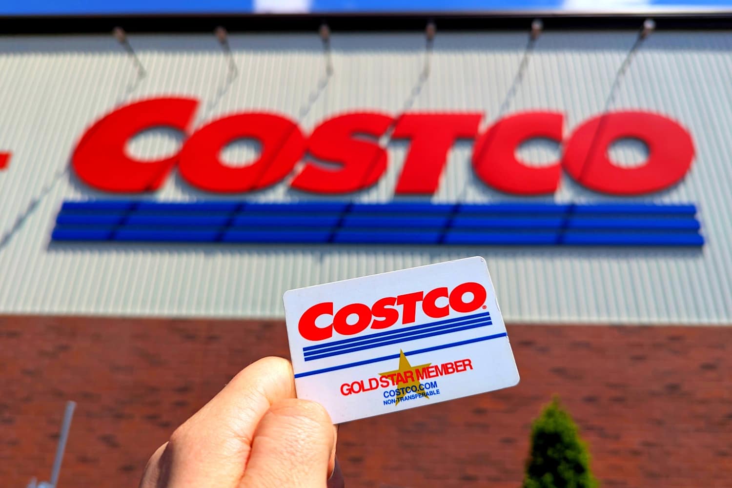 6 Practical Things to Buy with a Costco Shop Card | Apartment Therapy
