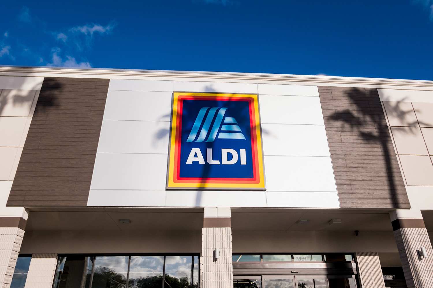 Grab Aldi’s $10 Rose Bush for the Best Valentine’s Day Gift | Apartment ...