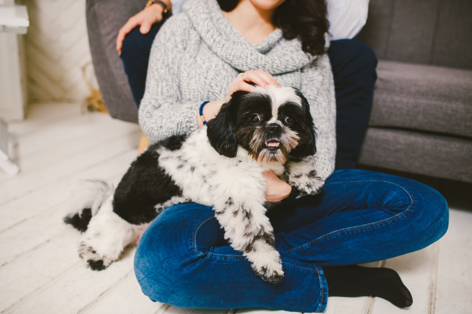 25 Pet Products Our Editors Swear By for Their Furry Friends