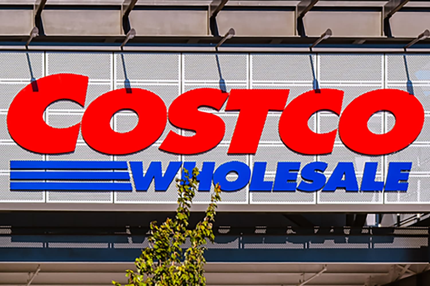 The 3 Best Costco Party Platters for (Almost) Any Celebration, According to a Superfan
