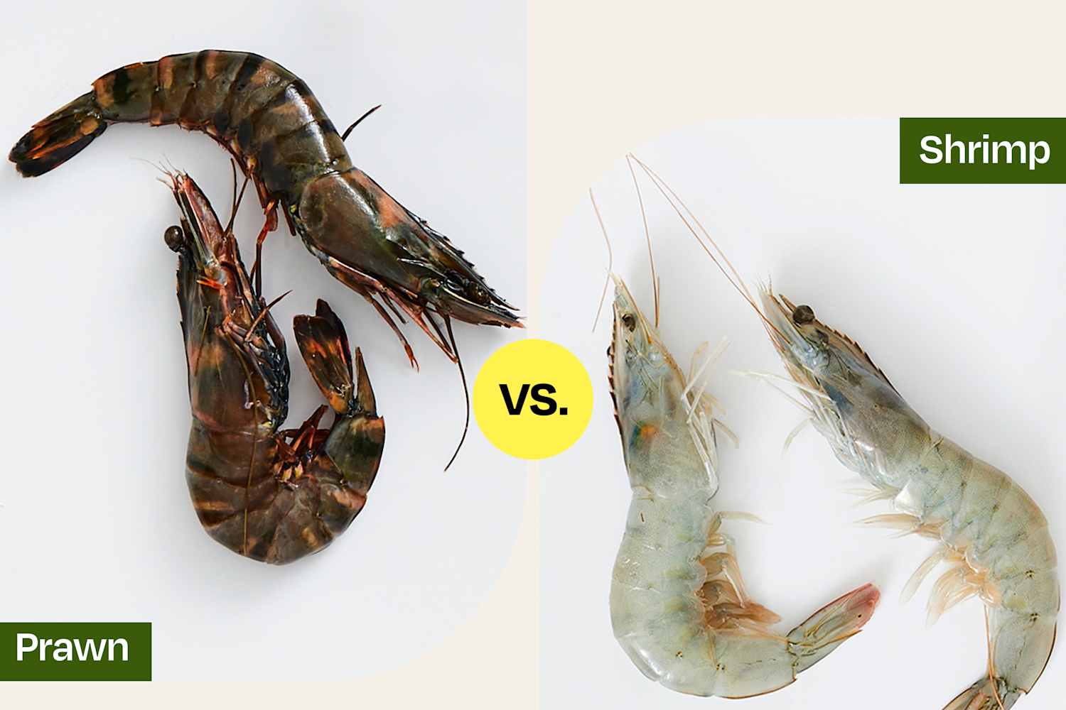 What&amp;#39;s the Difference Between Prawns and Shrimp? | The Kitchn