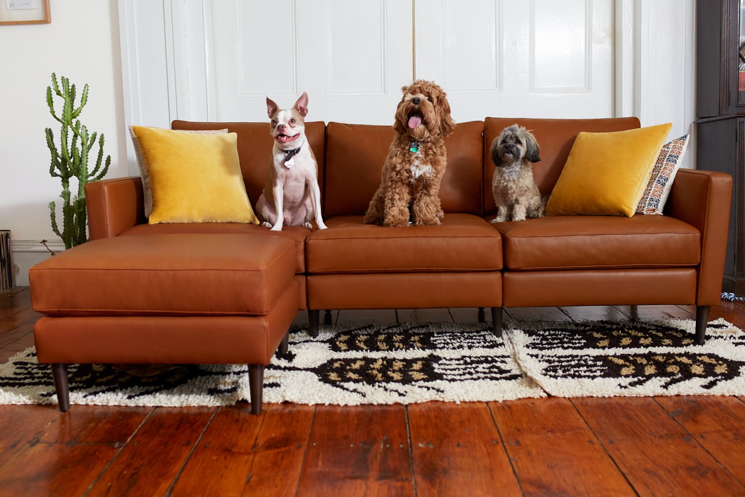 Allform Sofa Review Apartment Therapy