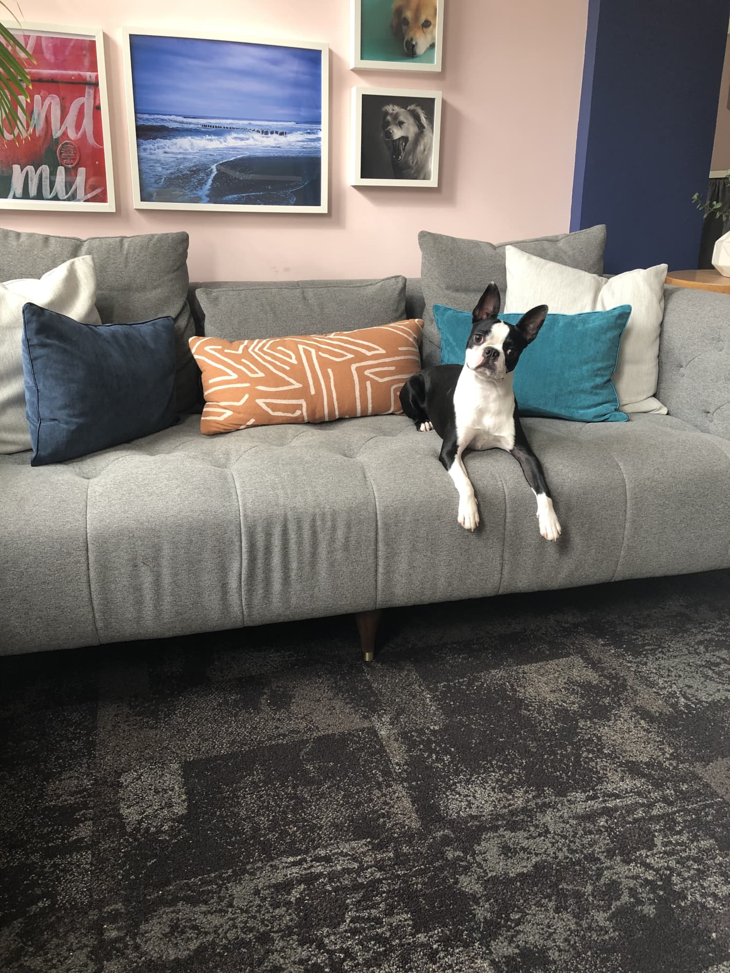 This Is The Most Essential Factor For Selecting A Durable Sofa