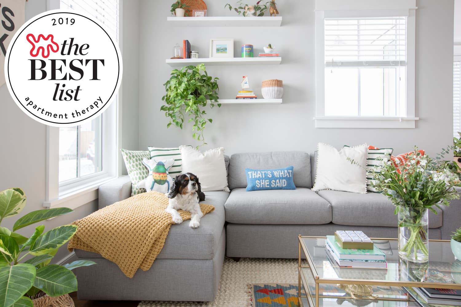 best pet friendly living room furniture