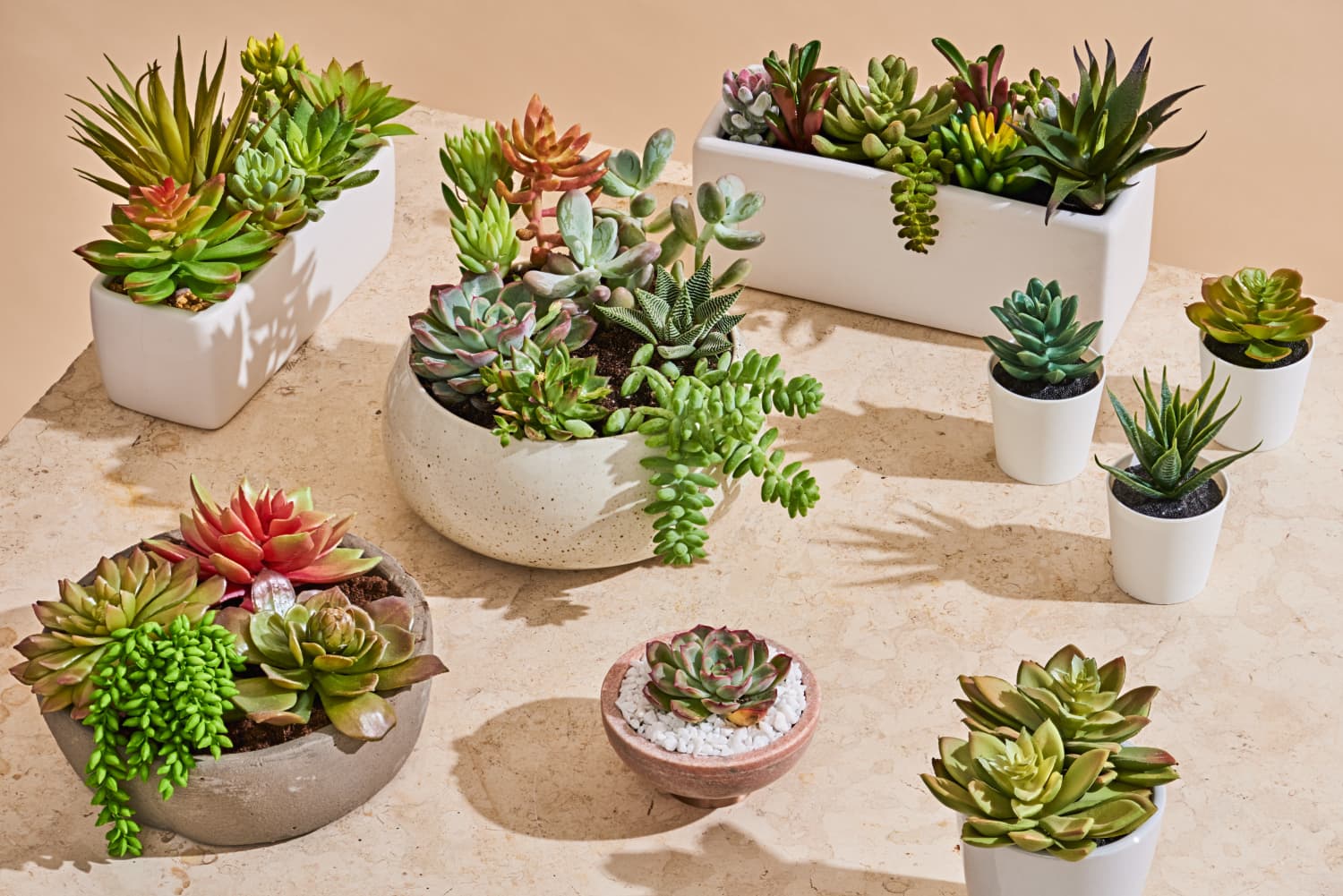 The Best Fake Succulents Ikea Target And 3 Others Apartment Therapy 1453