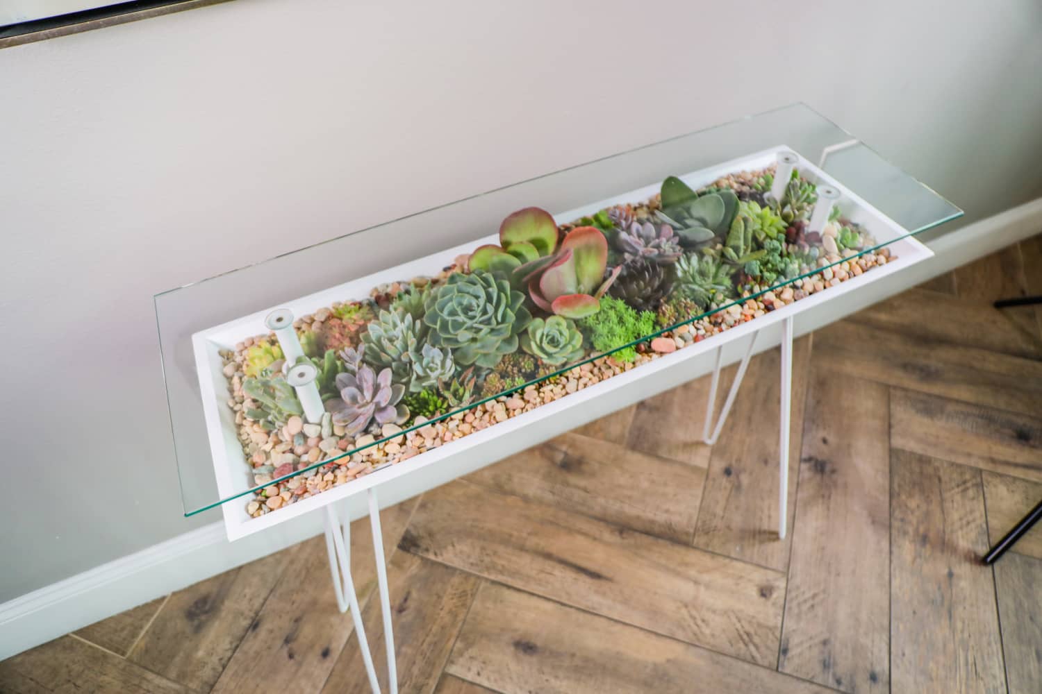 Table Succulent Planter Kickstarter | Apartment Therapy