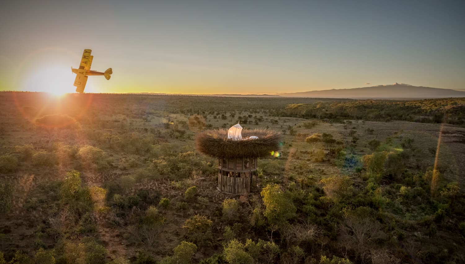Bird's Nest Hotel Kenya Apartment Therapy
