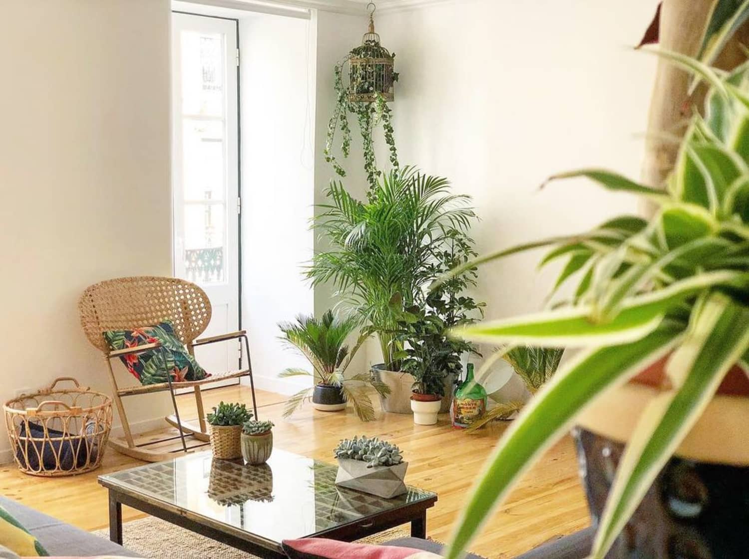 Best PlantFilled Vacation Rentals in The World Apartment Therapy