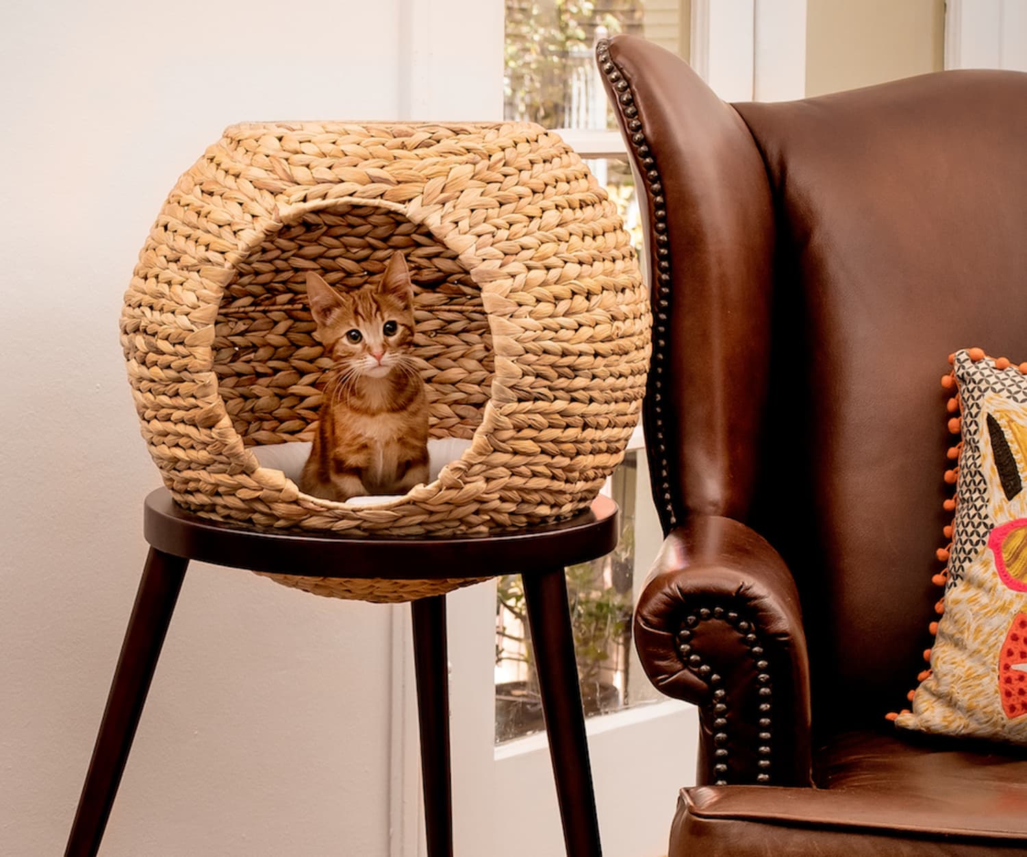 mini cat chair