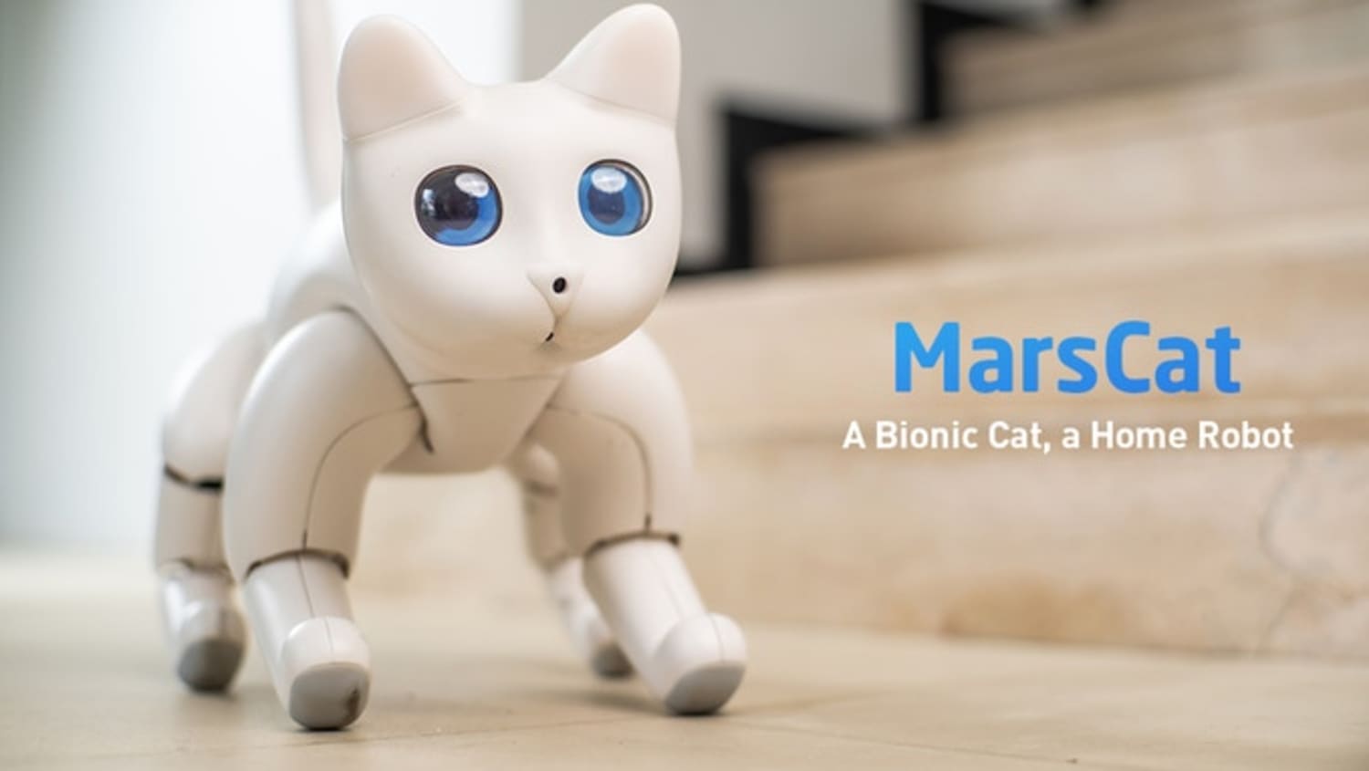 MarsCat Robotic Cat Kickstarter Apartment Therapy