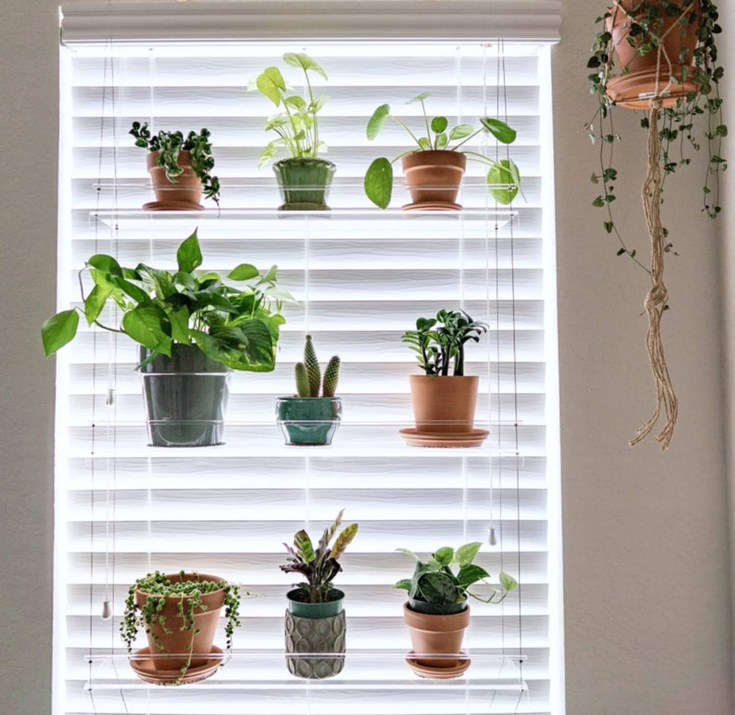 Window Plant Shelf Clear Etsy Apartment Therapy