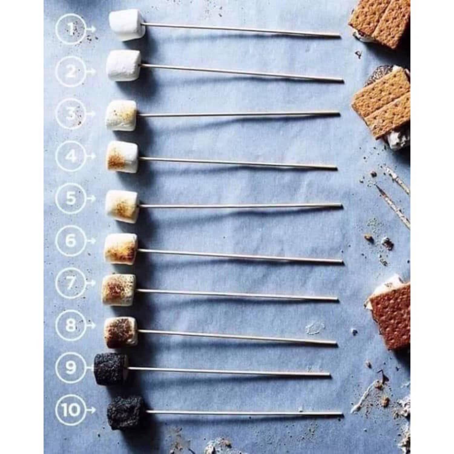 The Has Feelings About What the Perfect Toasted Marshmallow Looks Like Kitchn