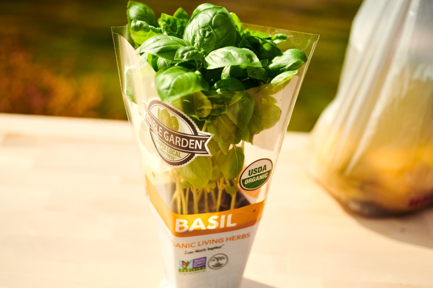 Watering Tip for Buying Potted Basil Plants at the Grocery