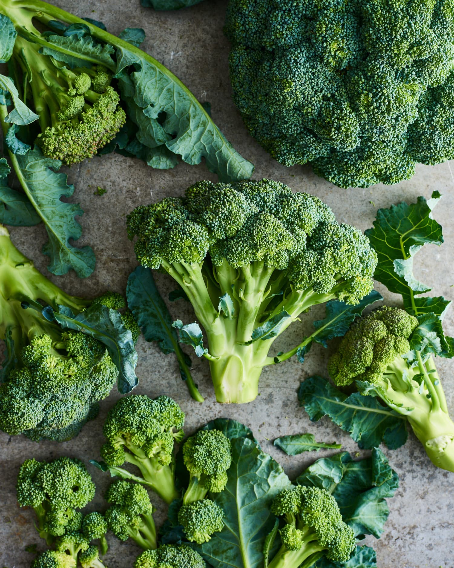 Our Best Guide to Broccoli Basics Kitchn