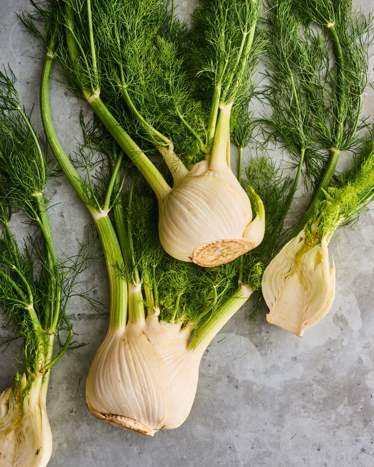 Our Best Fennel Recipes Ideas and Tips Kitchn