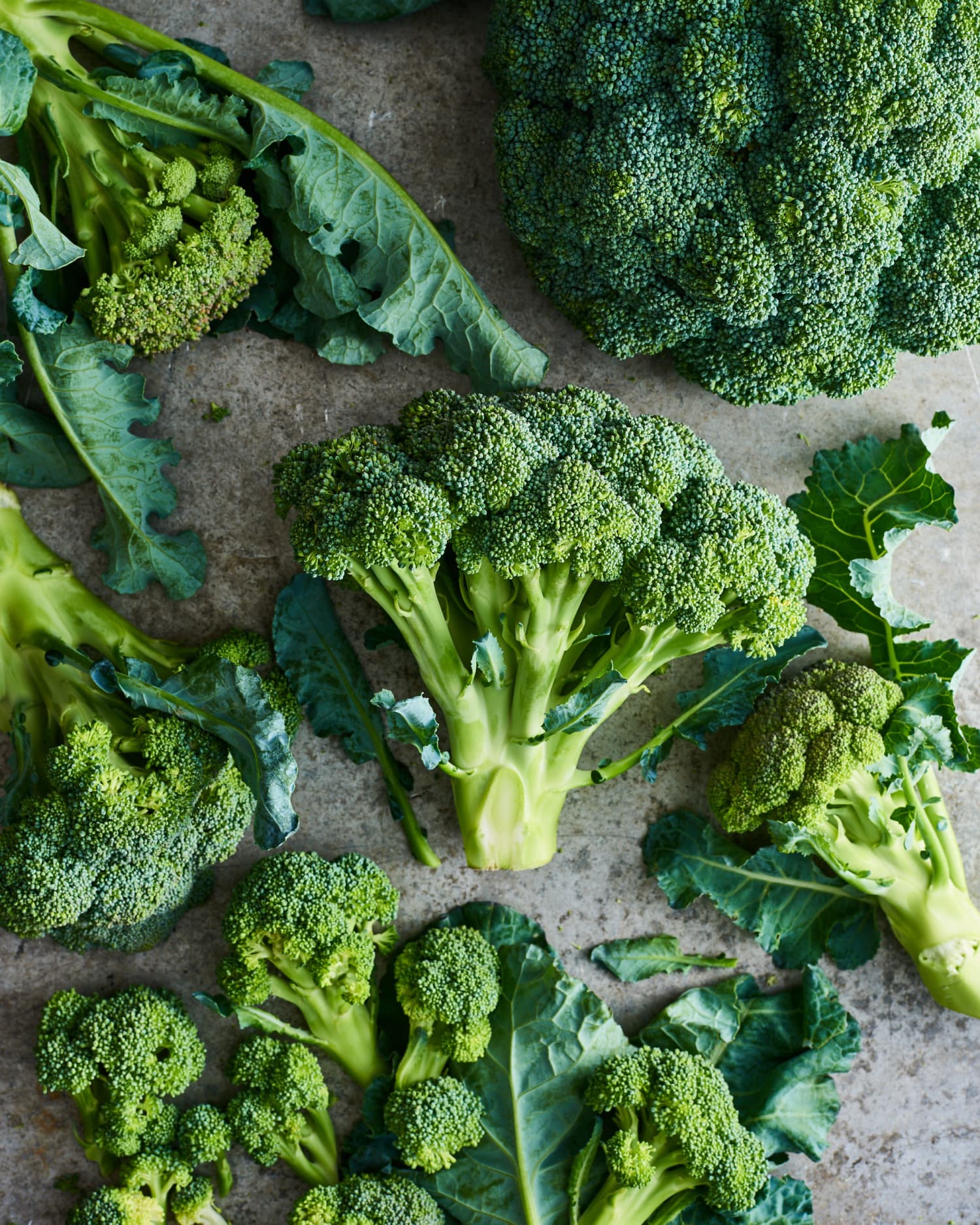 Our Best Guide to Broccoli Basics | Kitchn