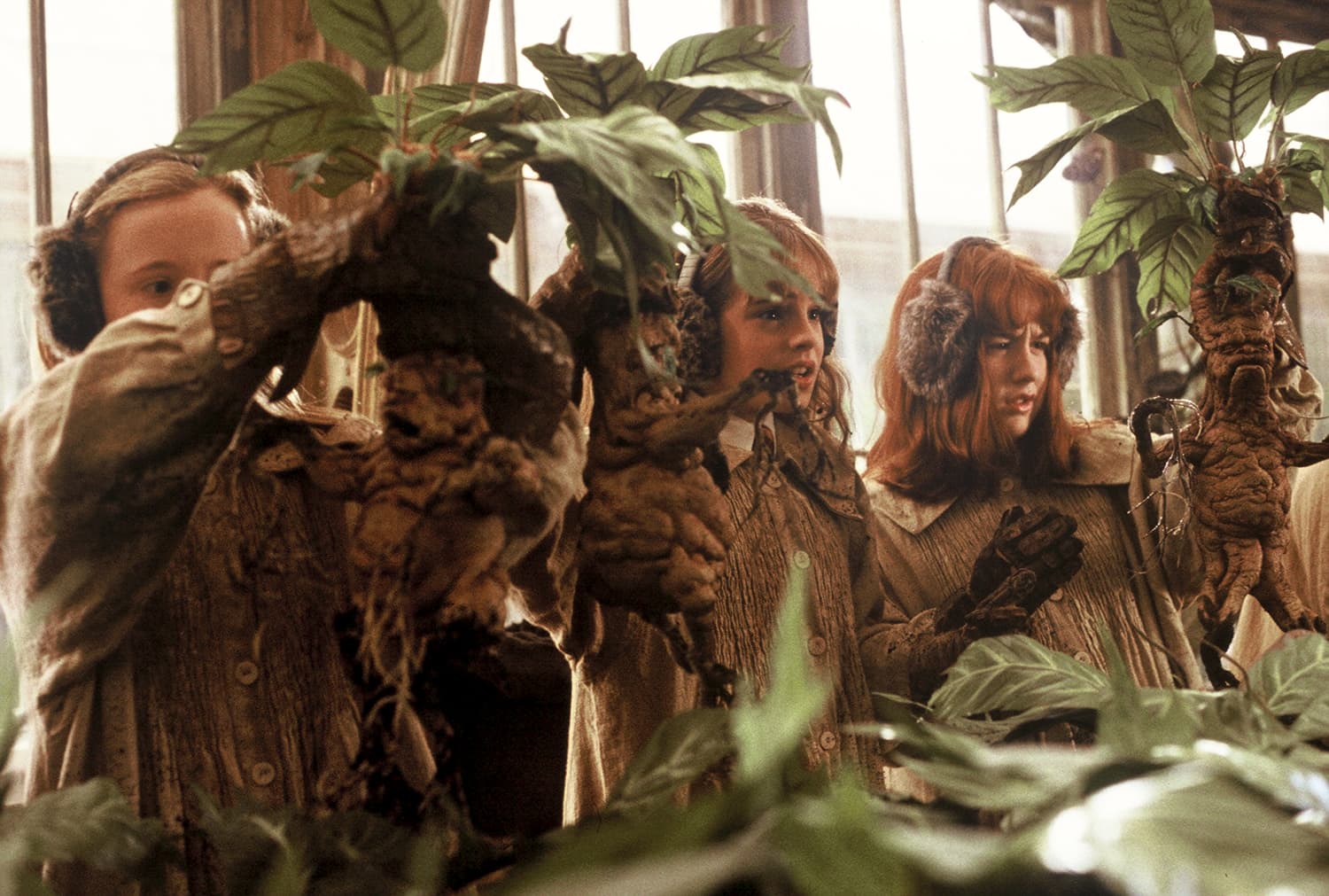 Etsy Harry Potter Mandrake Plants Apartment Therapy