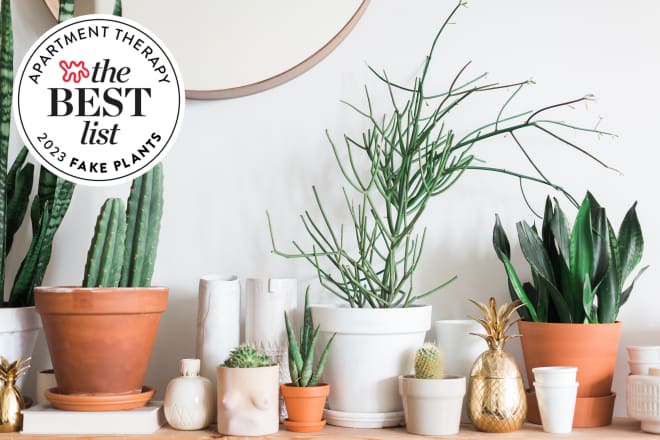 The Best Editor-Tested Fake Plants That Look Like the Real Deal