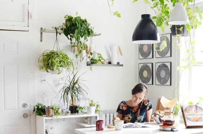 13 of the Best Houseplants That’ll Thrive in Any Kitchen