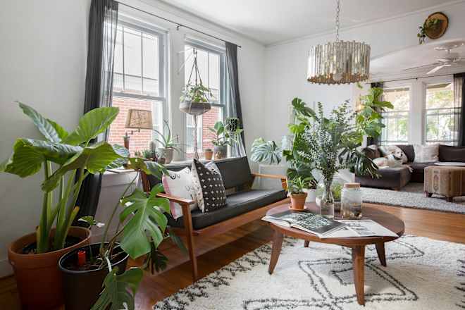 Never Throw Away Boring Plastic Plant Hangers Again With This "Genius" Trick
