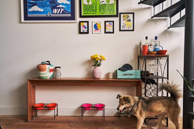 The 8 Best Automatic Pet Feeders For Dogs and Cats