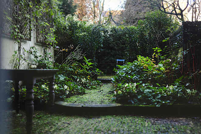 My Moon Garden Is the Perfect Summerween DIY