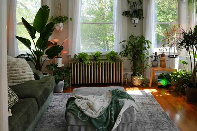 A 105-Year-Old House Is Overflowing with Charm, Character, and Over 150 Plants