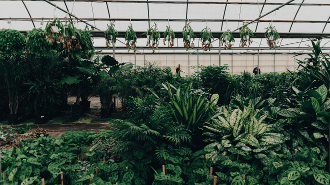 Turn Your Home Office Into A Greenhouse With Bloomscape S Free