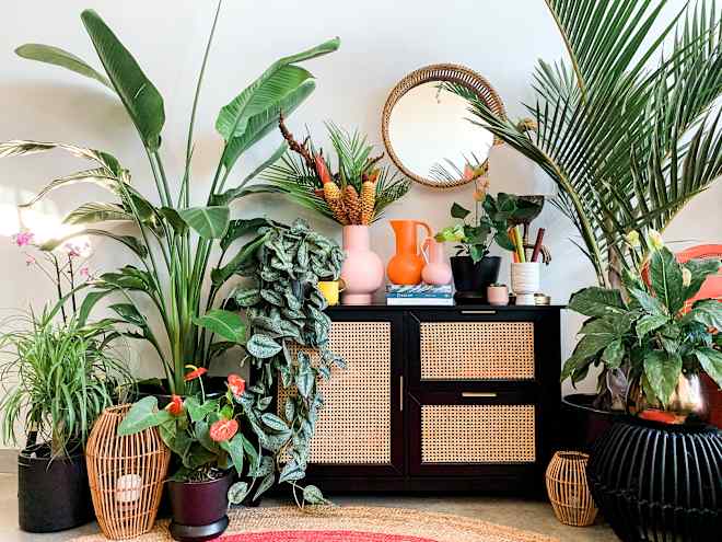 Less Is More When It Comes to Plant Styling, According to This Master Gardener