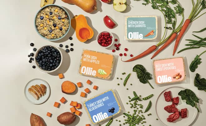 This Vet-Approved Delivery Service Creates Human-Grade Fresh Meals for Your Pup — and Kitchn Readers Get an Exclusive 60% Off