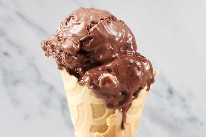 How Ninja Turned the Ice Cream Maker into a Household Staple