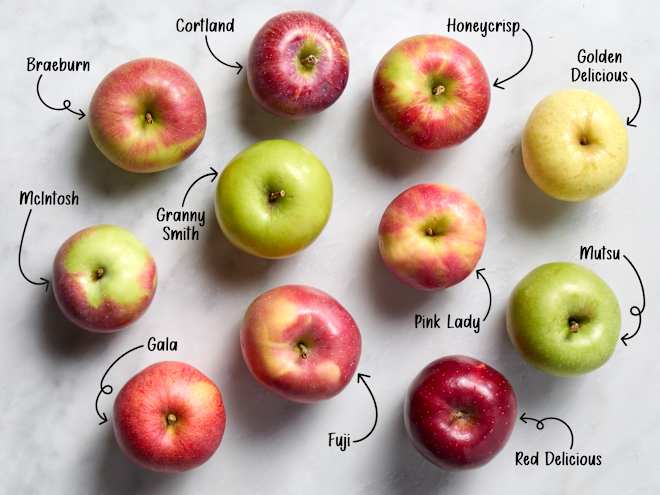 12 Types of Apples Every Apple Lover Should Know About (From Tart to Sweet!)