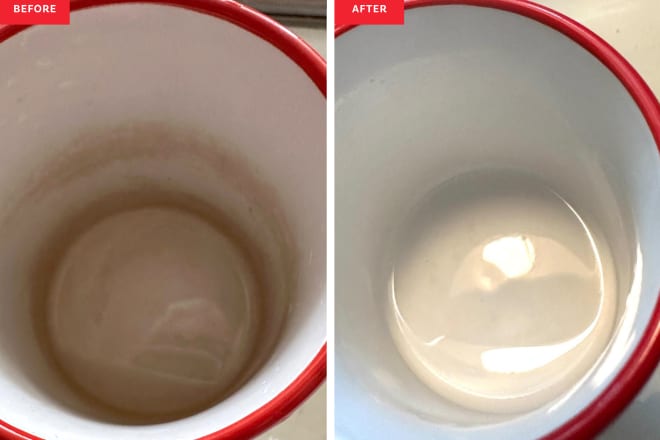 I Just Discovered a “Magical” $1 Trick for Cleaning Stained Coffee Mugs (It’s So Effective!)