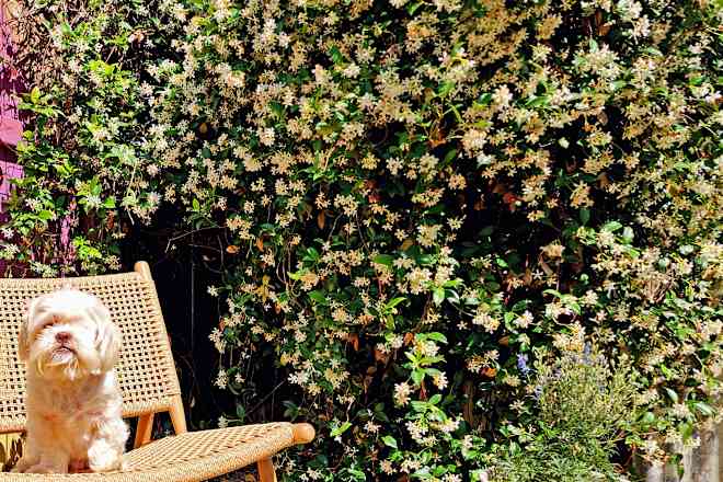 I Finally Upgraded to High-Quality Outdoor Chairs (They’re Worth the Price!)