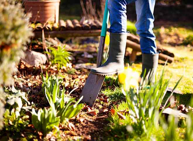 "The 2025 Old Farmer’s Almanac" Spring Prediction Is Here