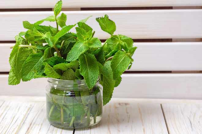 I Never Toss Wilted Herbs That Are About to Go Bad — I Always Do This Brilliant Trick Instead