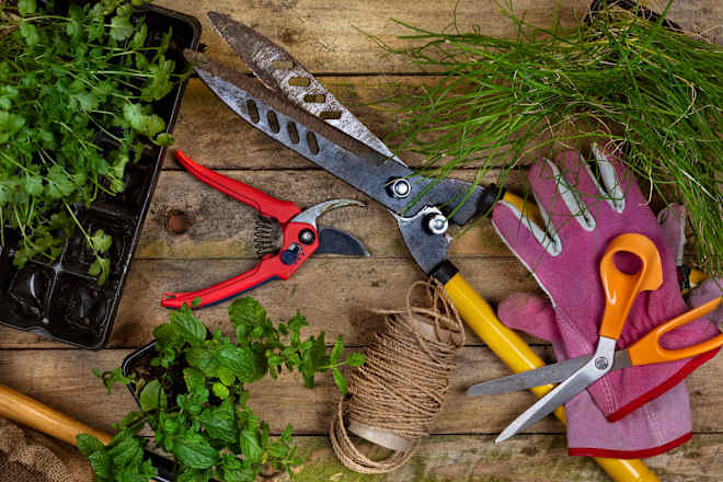 7 Places to Find Free Gardening Supplies This Summer