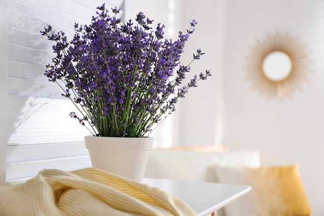 This Unexpected Home Decor Is the Cutest Cottagecore Find