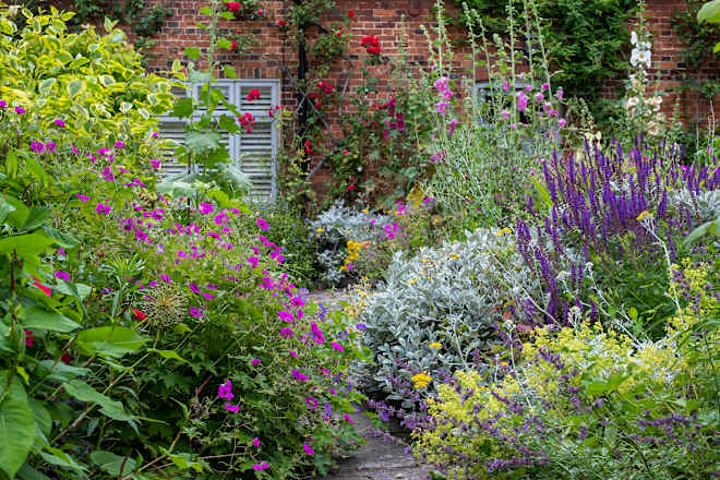 We Asked 5 Master Gardeners What Plants Will Make Your Yard Smell Amazing