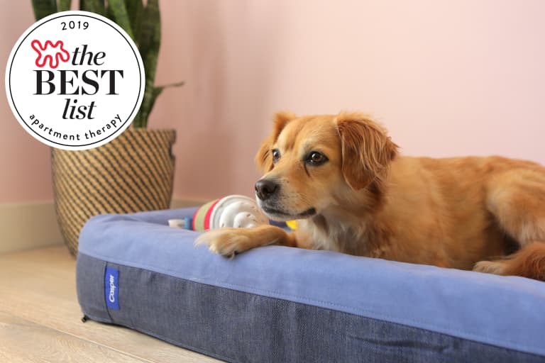 best dog beds 2019