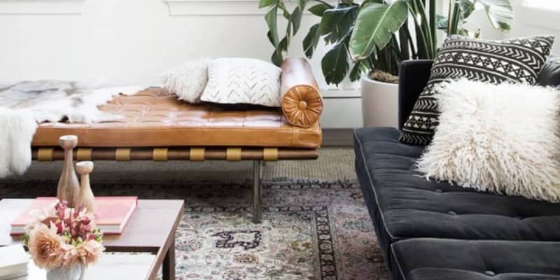 12 Best Indoor Trees Large Floor Plants For A Bold Statement