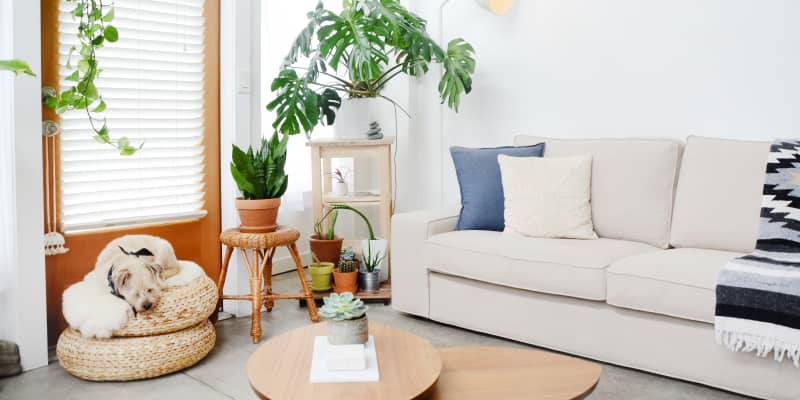 10 Best Small Sleeper Sofas For Apartments Tight Spaces Apartment Therapy