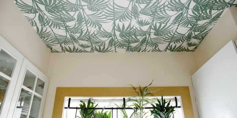 Drop Ceiling Ideas Apartment Therapy