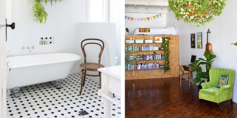 How To Display Houseplants 65 Of Our Favorite Plant Display Ideas