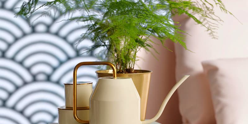 The Best Plant Accessories to Buy at IKEA | Apartment Therapy