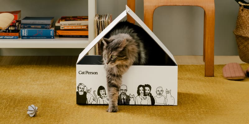 Cat Person Launch Apartment Therapy