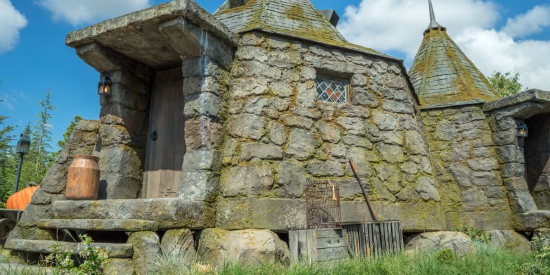 Hagrid's house at hogwarts hot sale