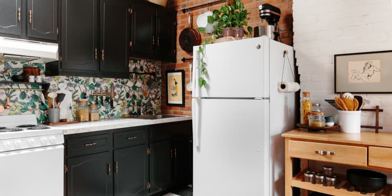 10 Best Refrigerators Under 500 2023 Frigidaire LG Galanz